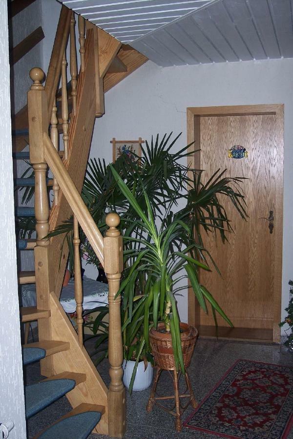 Ferienwohnung Neubert 伏尔根斯坦 外观 照片